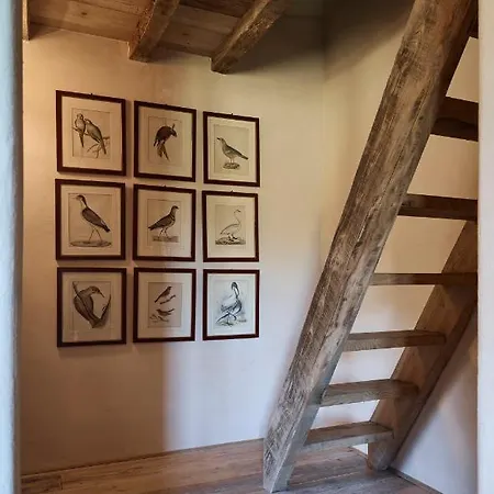 Quercia Rubra 别墅 皮耶韦圣斯特凡诺